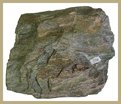 Chlorite 
